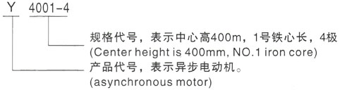 西安泰富西玛Y系列(H355-1000)高压YE2-315L2-10三相异步电机型号说明