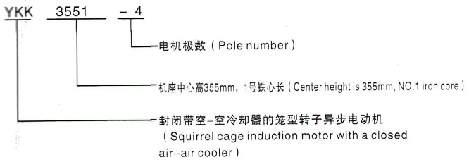 YKK系列(H355-1000)高压YE2-315L2-10三相异步电机西安泰富西玛电机型号说明